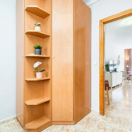 La Loma 2br Penthouse * トレビエハ